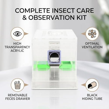 GLOGLOW Cricket Care Kit, with Feces Layer Acrylic Feeding Cricket Keeper with a Food Feeding Tub Care Kit Reptile Tank Box for Observation of Breeding