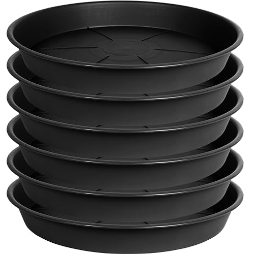 OVZILKI 6 Pack of Plant Saucer Tray 4 6 8 10 12 14 17 19 22 25 inch, Heavy Duty Plastic Pot Plant Drip Trays Saucers for Indoors Outdoor, Plant Water Tray for Planters 4-7" (6", Black) - color: Black, size: 6" - 6 Pack