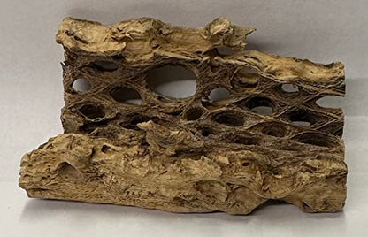 Natural Cholla Wood Chunk Air Plant Display Holders Individually Unique Decorative Stands Holder (Cholla Chunk) - style: Cholla Chunk