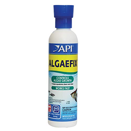 API ALGAEFIX 8-Ounce Bottle - size: 8-Ounce