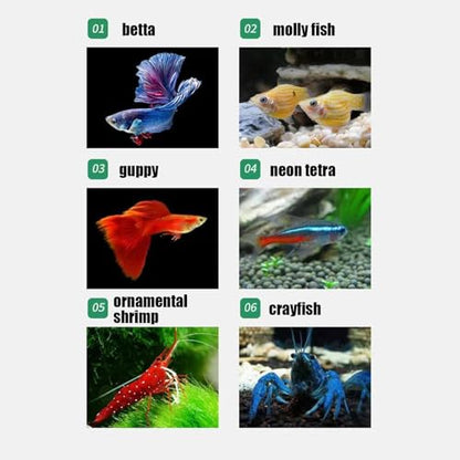 Fish Breeder Box Acrylic Fish Separator for Aquarium | Stable Container Breeding Holder Hatchery Incubator for Nursery Egg Fry Shrimp Betta Angelfish Acclimation