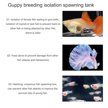 Fish Breeder Box for Raising Fry in Aquariums with Suction Cup Mounting/Floating Breeding Box 3Pcs Floating Hatchery Incubator