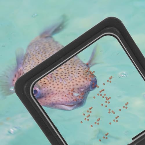 NUOBESTY 4pcs Aquarium Feeding Rings Fish Feeder Circles Wear Resistant Small Fish Tank Feeders Portable Feeding Device for Tropical and Aquarium Use