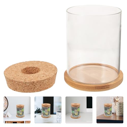 Glass Fish Bowl with Hydroponic Plant Container, Cylindrical Glass Terrarium Jar 8x10 Cm with Mat for Desktop Decor and Goldfish Tank