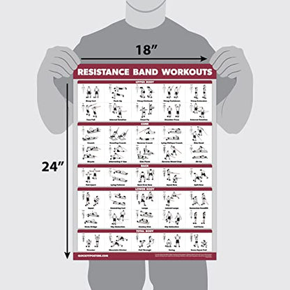 Palace Learning 4 Pack - Resistance Bands Workout Exercise Posters Volume 1, 2 & 3 + Resistance Loops Fitness Chart (LAMINATED, 18" x 24") - color: LAMINATED