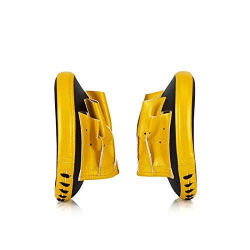 Fairtex FMV15 Focus Mitts, Muay Thai Boxing Precision Punching Target Pads - color: Black/Gold