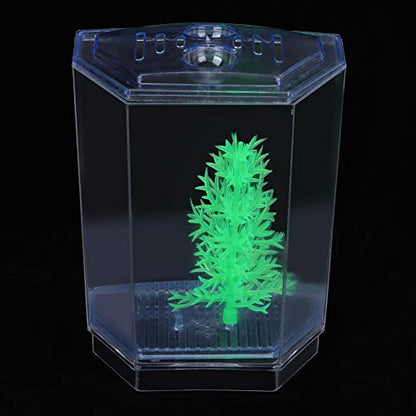 SUNGOOYUE Breeder Box for Aquarium Fish Acrylic Isolation Tank Single 4.3 X 3.1 X 5.5 in with Top Cover Dirt Groove Water Drain for Guppies Betta Fry Breeding Hatching (Single Grid)