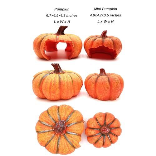 Shelltech Reptile Hideout Resin Aquarium Decoration Pumpkin House for Small Fish,Shrimps,Frogs,Gecko, Spider (Mini Pumpkin)