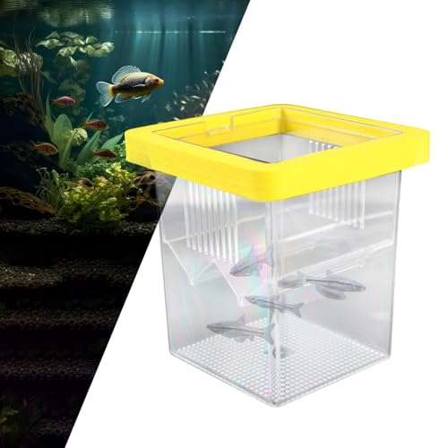 Breeder Box Aquarium Box Fish Egg Square Design PP Material Suitable for Betta Clownfish, Yellow