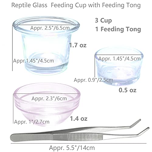 Reptile Glass Feeding Dish Food Water Bowl Feeder Bowl Cup Basin Fit for Small Pets Reptile Lizard Spider Scorpion, 3 Kinds of Capacity, 0.5 Oz,1.4 Oz, 1.7 Oz
