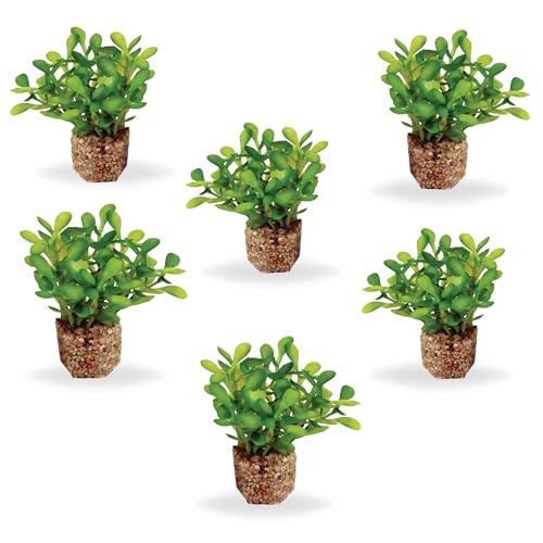 Vita Aquascape Button Leaf Aquarium Plants – Lifelike Artificial Foreground Plant Decor with Weighted Base, Non-Toxic Fish Tank Plants, Light Green (6 Pack) - color: Button Leaf Plant Light Green (6-pack)