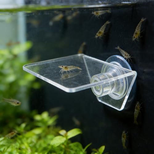 Kichvoe Aquarium Floating Shelf: Fish Tank Acrylic Ledge Plants Holder with Suction Cup - 4x3.2x2in Transparent Ledge for Aquarium Coral Aquatic Plants Moss - size: 10.00X8.00X5.00CM