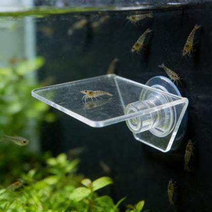Kichvoe Aquarium Floating Shelf: Fish Tank Acrylic Ledge Plants Holder with Suction Cup - 4x3.2x2in Transparent Ledge for Aquarium Coral Aquatic Plants Moss - size: 10.00X8.00X5.00CM