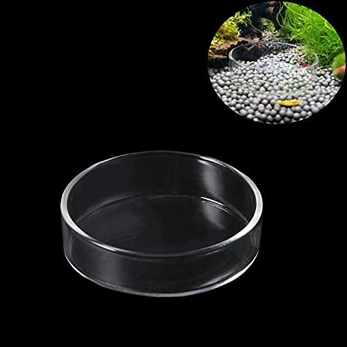1PCS Aquarium Shrimp Feeding Dish, Glass Round Fish Feeder Bowl Reptiles Water Food Dish Clear Dishes Tray, 60mm - size: Round Bowl: 60MM