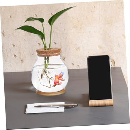 DOITOOL Small Glass Fish Bowl with Lid Mini Desktop Aquarium Hydroponic Fish Tank 10x11cm with Mat and Home Office Terrarium