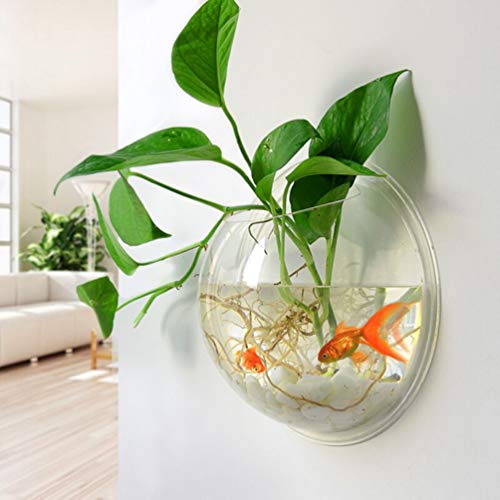 iplusmile Wall Mounted Fish Bowl 5.90 Inch Acrylic Hanging Aquarium Tank Transparent Fish Tank Home Decor Space Saving Design - size: 6 Inch