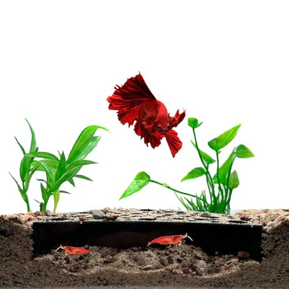 Shrimp Breeding Protector, Shrimp Hide Tunnel, Black | Aquarium tunnel creates a sheltered breeding cave for dwarf, cherry and baby shrimp while helping protect young shrimp. - color: Black