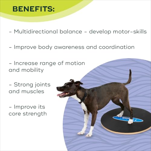 FitPaws Wobble Board - Dog Balance Training Equipment for Core Strength & Stability Canine Fitness & Rehabilitation Tool 20" - size: 20"