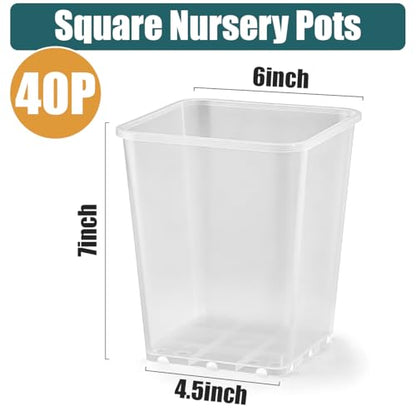 Nursery Pots 6 Inch 40 Pcs, Plastic Seed Starting Pot with Drainage Holes, Sturdy Seedling pots for Planting, Cuttings, Clear - color: Clear, size: 6 Inch-40P