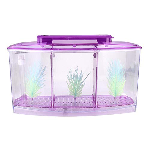 Mini Fish Breeding Box, Clear Acrylic LED Isolation Hatchery Tank for Desktop Aquarium Purple 11 x 3.9 x 5.9 in 3 Compartments 1 Filter Bubble Head