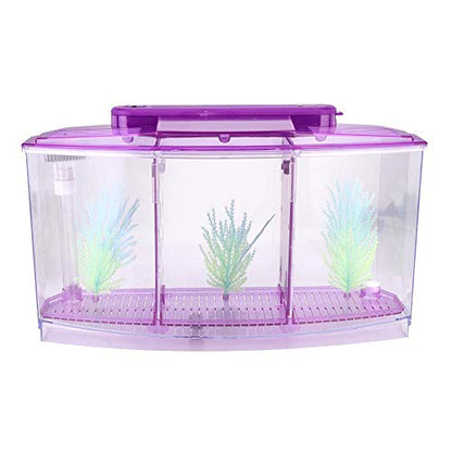 Mini Fish Breeding Box, Clear Acrylic LED Isolation Hatchery Tank for Desktop Aquarium Purple 11 x 3.9 x 5.9 in 3 Compartments 1 Filter Bubble Head