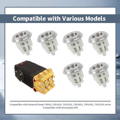 6Pcs KIT 169 Check Valve Replacement for General Pump TSF66 TSF1819 TSF2221 TSF2021 TSF2421 TSF2219 Series for Interpump (GP), Replace K169
