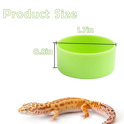 10 Pcs Tarantula Micro Water Bowl Small Reptile Food Dish Feeding Bowl for Spider Gecko Lizard Horned Frog Turtle (Green)
