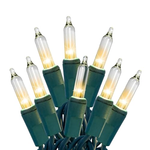 HISHINY Christmas Lights 100 Count Clear Christmas Tree Lights String with Green Wire for Outdoor Indoor Christmas Decorations Wedding Decorations Valentines Day Decor,UL Certified (21feet) - color: Warm White, size: 21feet