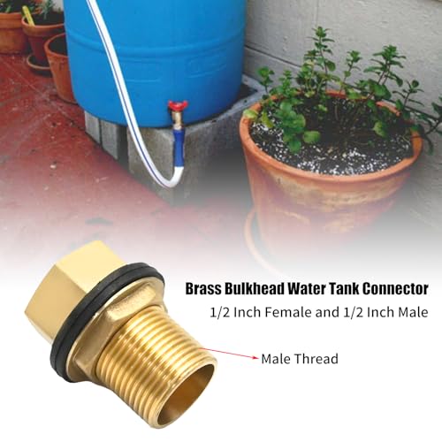 Anxingo 1/2 Inch External Thread & Internal Thread Bulkhead Fittings, Brass Bulkhead Water Tank Connector for Swimming Pools Pipelines Water Tanks Aquariums