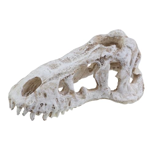 1 Pcs Resin Dinosaur Skull Aquarium Ornament, T-rex Skull Dinosaur Head, Tyrannosaurus Rex Head Skull Sculpture Fossil Figurine for Fish/Shrimp Hiding, 6.9"x3.6"x3"/175x92x77mm - size: 6.9"x3.6"x3"/175x92x77mm(LxWxH)