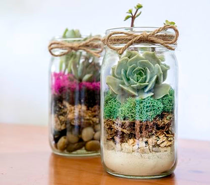 SuperMoss (90410) Terrarium Jar DIY Kit – Build Your Own Mini Garden in a Jar, Idea for Budding Gardeners, Creative Kids & Plant Lovers of All Ages, 32oz, Laguna - color: Laguna