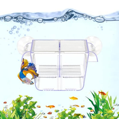 DaToo Fish Breeding Box Aquarium Holding Tank Transparent Fish Isolation Box Acclimation Hatchery Incubator Breeder for Betta Shrimp Clownfish Guppy(Size S)