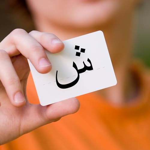 CARDDIA | Arabic Alphabet Educational Flashcards | Includes Consonants, Vowels, Diacritics and Numerals | Ideal for Arabic Language Beginners