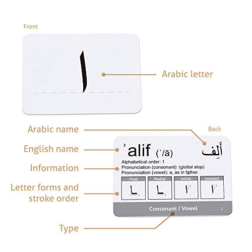CARDDIA | Arabic Alphabet Educational Flashcards | Includes Consonants, Vowels, Diacritics and Numerals | Ideal for Arabic Language Beginners