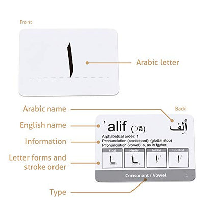 CARDDIA | Arabic Alphabet Educational Flashcards | Includes Consonants, Vowels, Diacritics and Numerals | Ideal for Arabic Language Beginners