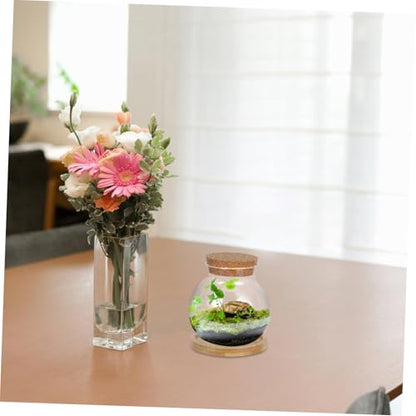 PRETYZOOM Glass Hydroponic Vases with Mat for Desktop Use Small Fish Bowls for Plant Lovers Gardening Decor