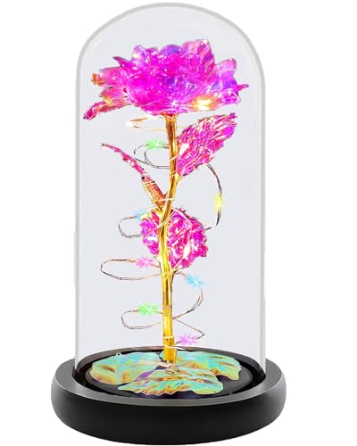 Fvawe Birthday Gifts for Women,Rose Glass Flowers Gifts for Mom,Galaxy Crystal Light Up Rose in A Glass Dome,Presents Girlfriend Wife Sister Grandma Her Anniversary Valentines Mothers Day, Pink - color: Pink Colorful
