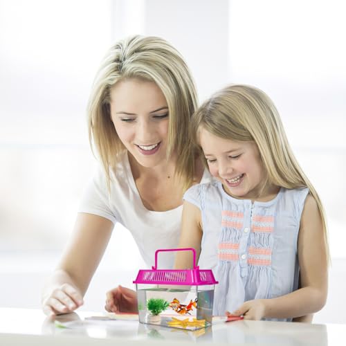 HANABASS Portable Fish Tank Handheld Aquarium with Handle Transparent Plastic Mini Fish Box for Turtle Hamster Pet Breeding Case 5.90 X 4.33 X 3.74 in Set of 4