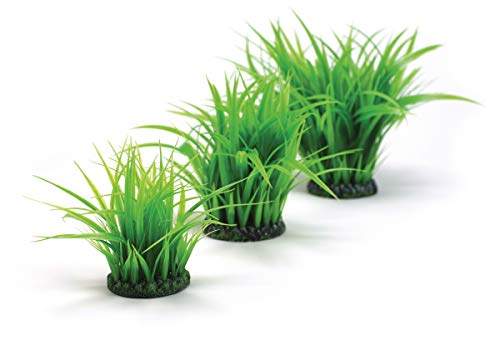 biOrb Grass Ring, Medium (Pack of 2) - size: Medium (Pack of 2)