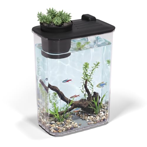 1 Gallon Betta Fish Tank Aquarium Starter Kit with Light and Lid(Black) | Premium Acrylic Aquarium with Light and Lid, Crystal Clear Starter Kit for Betta Fish, Shrimp, Snails and Small Fish - color: Black, size: 1 Gallon