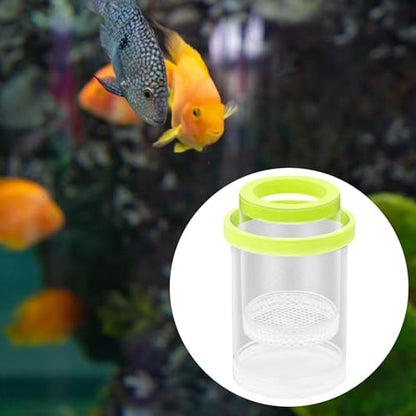 Fish Hatchery, Fish Isolation Box, Separation, Green - color: Green
