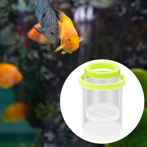 Fish Hatchery, Fish Isolation Box, Separation, Green - color: Green