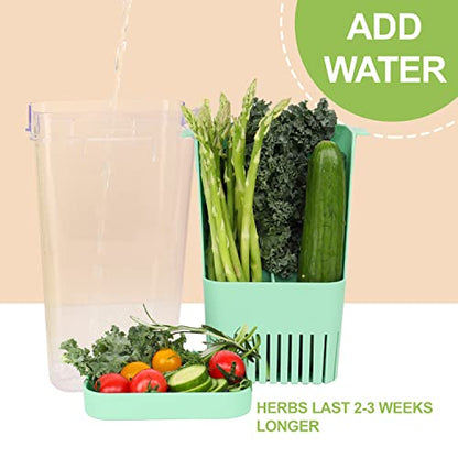 LUVCOSY 2 Pack Herb Keeper, BPA-Free Plastic Herb Saver with an Inner Basket for Cilantro, Mint, Parsley, and Asparagus, Keeps Fresh Herbs for 3 Times Longer - color: Herb Keeper - Green & Blue