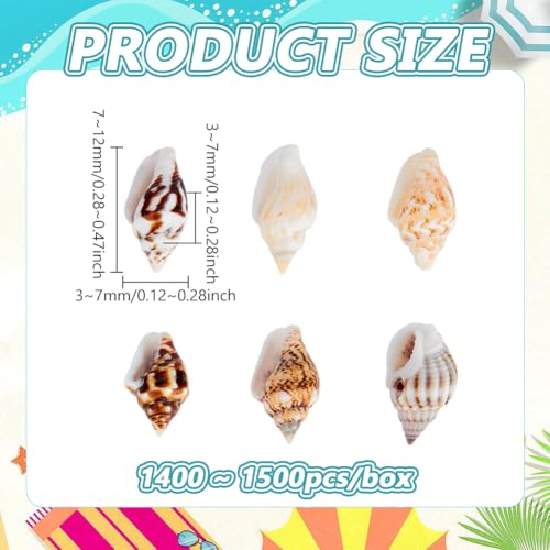 PH PandaHall 1400-1500pcs Tiny Sea Shells 7-12mm Tiny Crushed Shells Miniature Shell NO Hole Seashells Ocean Spiral Seashells for Resin Crafting Candle Home Party Wedding Fish Tank Vase Filler - color: 1400pcs, size: Length 7-12mm