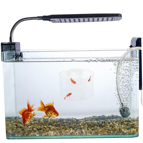 FOMIYES Fish Breeding Box Aquarium Accessory Isolation Box for Fish Tank for Shrimp for Observation and Breeding