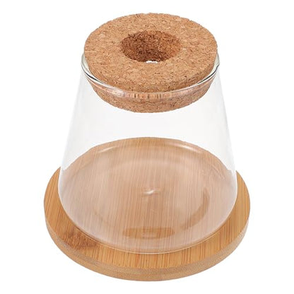 Small Glass Fish Bowl with Wooden Lid and Mat, Hydroponic Micro Landscape Planter Bottle for Desktop Betta Fish Tank and Plant Terrarium