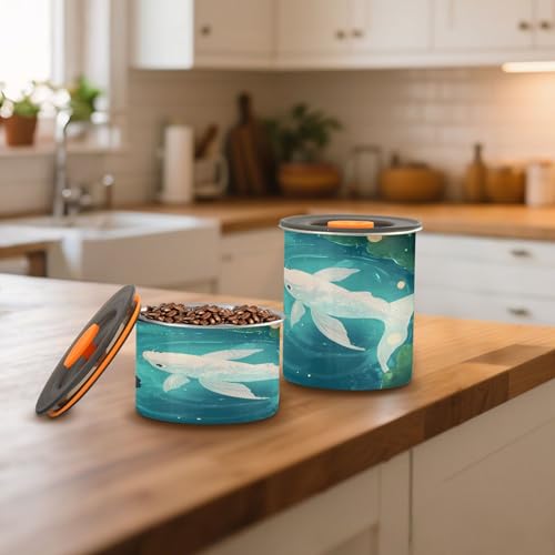 Kigai Fish Food Storage Container with Lids Airtight, Leak-Proof Stainless Steel Storage Canister for Coffee Sugar Tea, 900 ML/30.5 oz