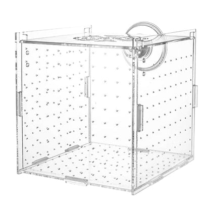 Fish Breeder Box Acrylic Fish Separator for Aquarium | Stable Container Breeding Holder Hatchery Incubator for Nursery Egg Fry Shrimp Betta Angelfish Acclimation