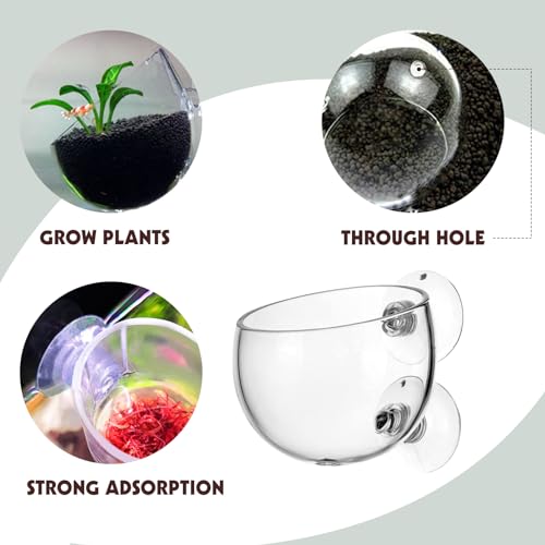 Tfwadmx 6 Pieces Aquarium Plant Holder Pot Aquarium Decor Crystal Glass Aquatic Plant Cup with Suction Cups Aquarium Fish Tank Decorations