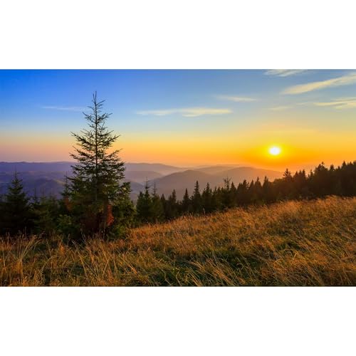 Sunrise Mountains Aquarium Background Fantastic Autumn Foggy Mountains Pine Trees Fish Tank Background Majestic Fall Morning Mountain Slope Meadow Scene Terrarium Reptile Tank Backgrounds 24x16in - color: Orange_Brown, size: 24(W)x16(H)in